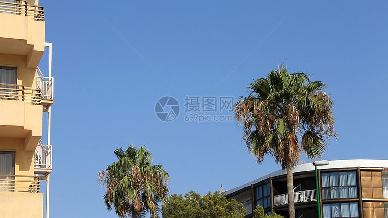 政府会议差旅服务主要包括以下内容：